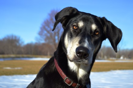 She thinks far too much, but she's working on it for the sake of her word count.