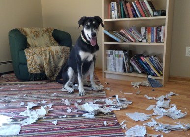 First tip: Stay away from word-eaters. They will quickly destroy your word count.