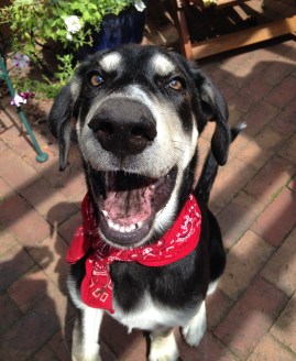 Chara sees smearing mud on her tongue as a way to enhance her beauty. 