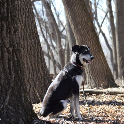 The photo I finally chose