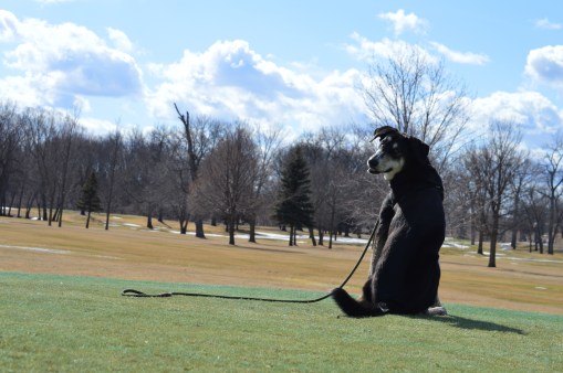 Natural or unnatural?