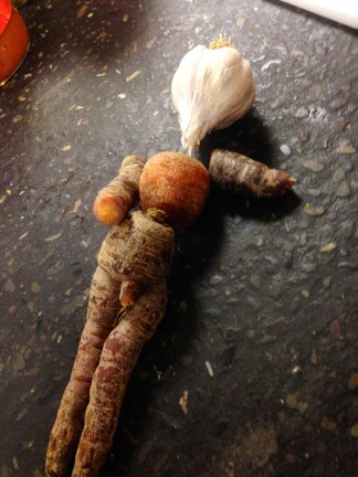 Sexy root veggie guy that we GREW!