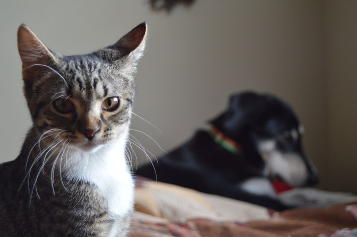 Minerva only joins us for rest days. 