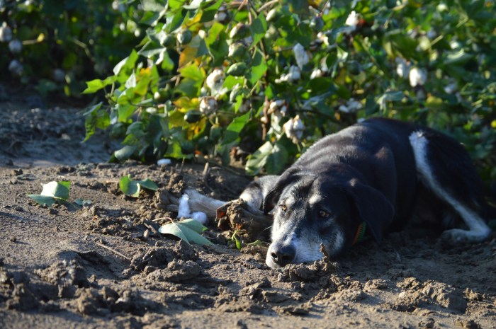 If you need breaks, take them. 